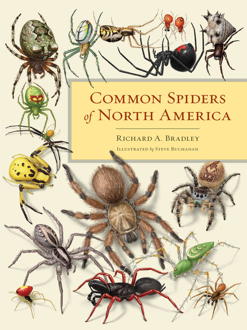 Title details for Common Spiders of North America by Richard A. Bradley - Available
